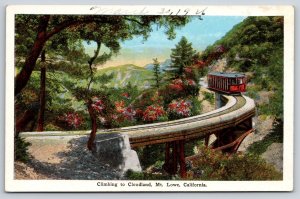 Mt Lowe California~Climbing To Cloudland Tram Railway Scene~Vintage Postcard