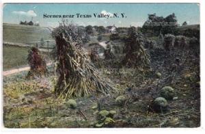 Scene near Texas Valley NY