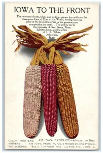 c1905's Iowa To Front Two Ears Of Corn White Red Yellow Oskaloosa Iowa Postcard