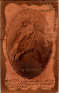 Embossed Leather Horse The Winner from Grand Island NE Vintage Postcard J56