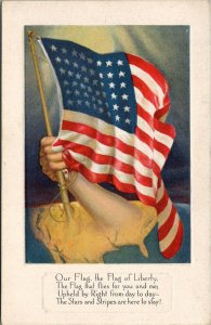 Patriotic USA Our Flag the Flag of Liberty Postcard U9