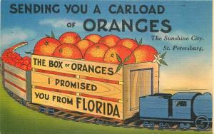 Eastern 1940s Florida Railroad Range Exaggeration Postcard Hartman