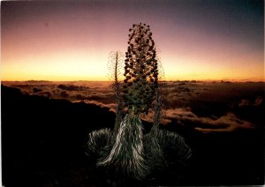 Mount Haleakala, Maui, Volcanoes National Park, Big Island, Hawaii, Postcard