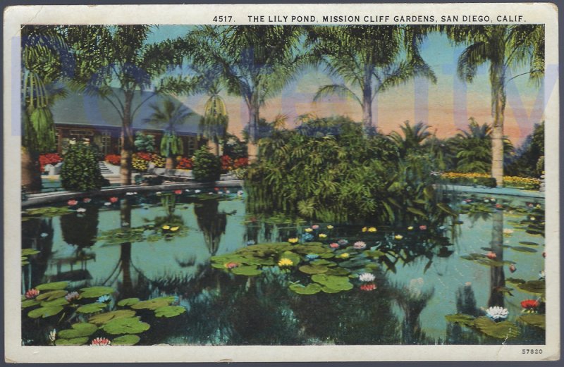 THE LILLY POND MISSION CLIFFS GARDENS  1580 ? (4517) SAN DIEGO CALIFORNIA