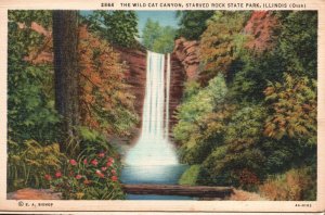 Vintage Postcard 1945 The Wild Cat Canyon Starved Rock State Park IL Illinois