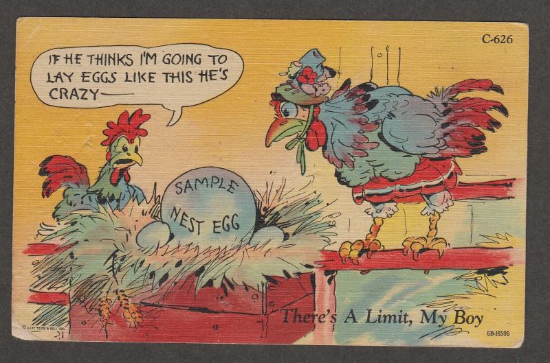 Chickens Comic Postcard Humor Vtg Risque There's A Limit My Boy