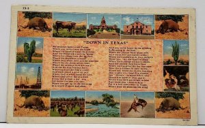 Down In Texas General Scenes Paris Texas to Hagerstown Md Postcard E4