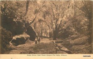 1909 Dells Kilbourn Maple Grove Cold Water Canyon Murphy postcard 905