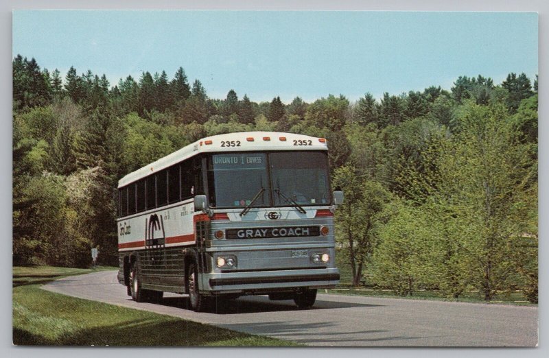 Transportation~MC-9 Crusader II Coach Grey Coach Line~Vintage Postcard 