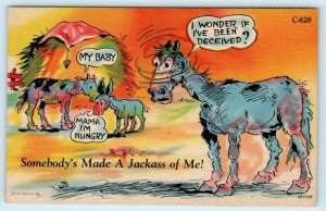 RAY WALTERS Rural Comics Somebody's Made A Jackass of Me 1940s Donkey Postcard