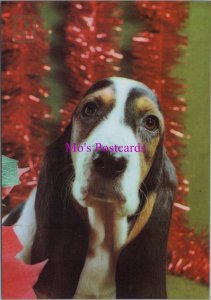 Animals Postcard - Pet Dogs, Cute Dog at Christmas Time RR20424