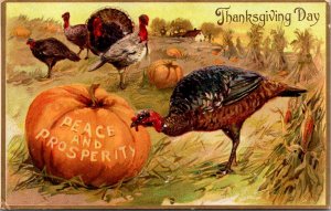 Thanksgiving Day Greetings PC Turkey Pecking Peace and Prosperity Into Pumpkin