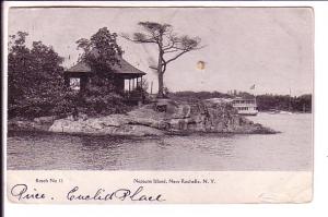 Neptune Island, New Rochelle, New York, Use Flag Cancel 1908, Rosch 11