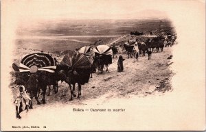 Algeria Biskra Caravane en marche Vintage Postcard C165