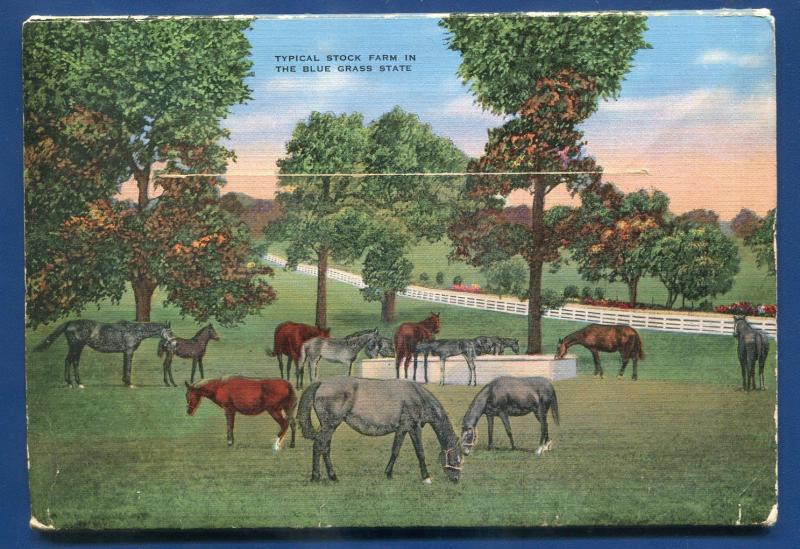 Lexington Kentucky ky Heart of the Blue Grass postcard folder 