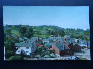 Leicestershire WOODHOUSE EAVES Village View c1907 Postcard by Hartmann