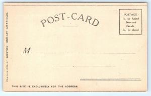 Postcard Valentine Boy Giving Girl Heart a/s Swinnerton 1906 L17