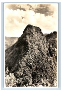 Vintage RPPC Chimney Tops GReat Smokey Mt Ntl - Park Postcard Real Photo F124E
