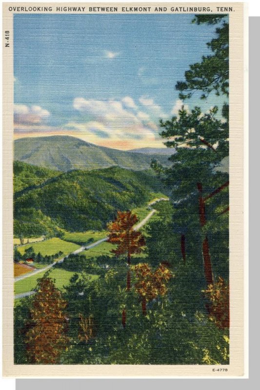 Gatlinburg,Tennessee/TN Postcard,Highway/Elkmont,Near Mint!