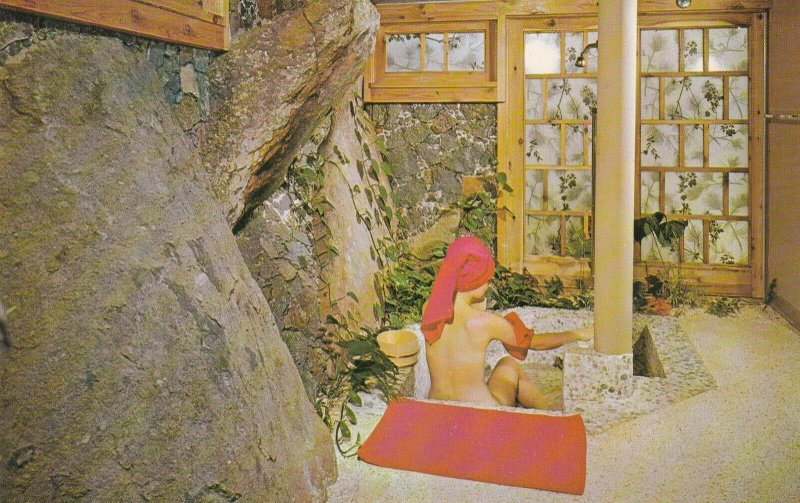 U S Virgin Islands St Thomas Shibui Hotel Japanese Sunken Bath sk7137