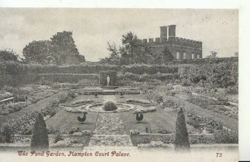 Middlesex Postcard - Hampton Court Palace - The Pond Garden - TZ11380