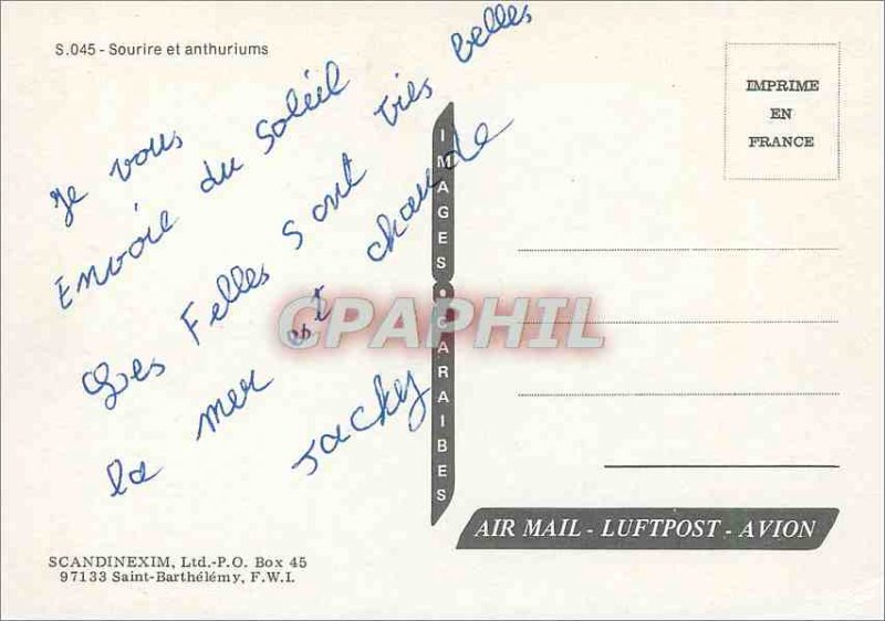 Modern Postcard Martinique Smile and anthuriums