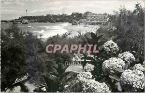 Old Postcard Biarritz Hydrangeas and view of the Lighthouse