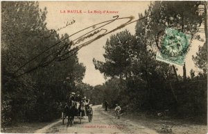 CPA La BAULE - Le Bois d'Amour (587375)