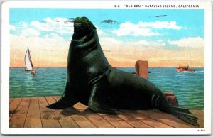 VINTAGE POSTCARD OLD BEN SENIOR SEAL AT CATALINA ISLAND MAILED GLENDALE 1929