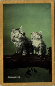 Kitty Cats sitting on Tree Branch Expectations Valentine's Series Postcard