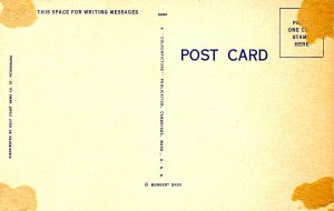 FL - Clearwater. Brown Estate