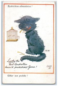 Postcard Cat Small Cage Food Controller Food Rations c1910 Oilette Tuck Cats