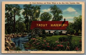 Postcard Castalia OH c1940 Trout Hatchery and Water Wheel at the Blue Hole