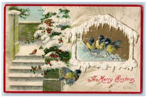 c1910's Christmas Song Birds Holly Berries Winter Winsch Back Embossed Postcard