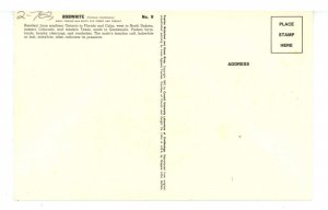 Birds - Bob White Quail