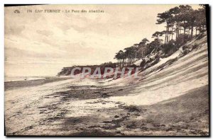 Old Postcard Cap Ferret Le Parc Des Abatilles