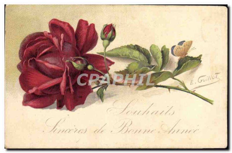 Old Postcard Fantasy Flowers Butterfly