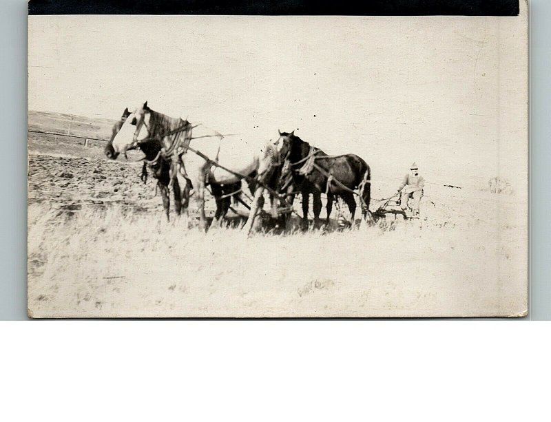 1930s Horse Drawn Plow Man Plowing Field 4 Horses Real Photo Postcard 6-18 