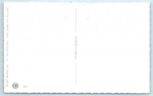 MAINZER DRESSED CATS &  KITTENS ~ Abstract Artist Painter Easel #4907  Postcard