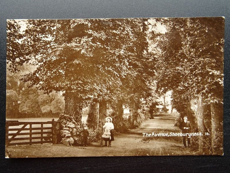 Essex SHOEBURYNESS The Avenue showing Children c1916 RP Postcard