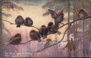 Tuck Oilette Birds and Blossoms Marked American YMCA c1910 Vintage Postcard