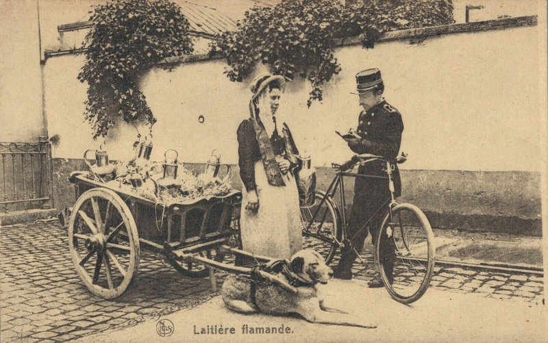 Belgium Laitière flamande Dog cart 03.74