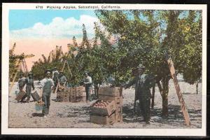 California, Sebastopol (USVC 0337))