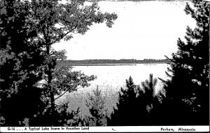 A Typical Lake Scene in Vacation Land Perham Minnesota Postcard PC99