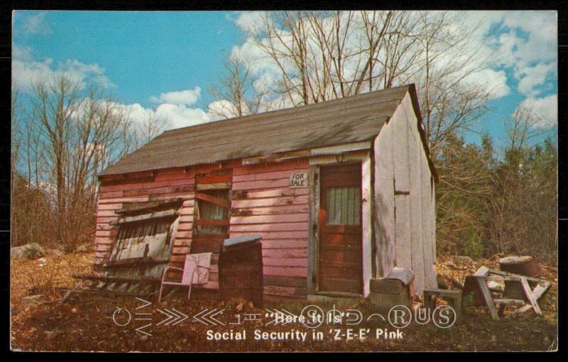 Here it is - Social Security in Z-E-E Pink