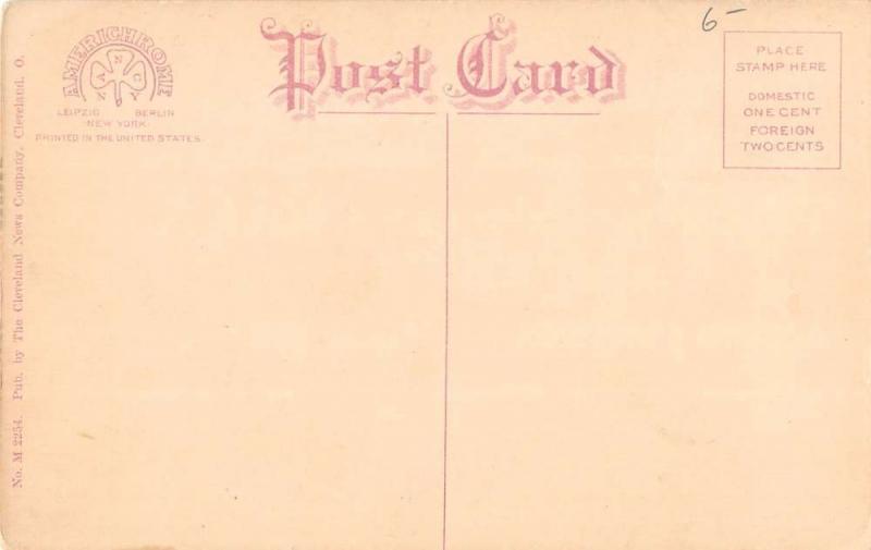 Cedar Point Ohio Bathing Beach Scene Birdseye View Antique Postcard K26371