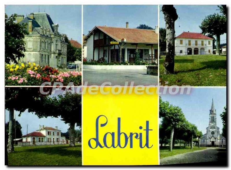Postcard Modern Labrit Various Aspects