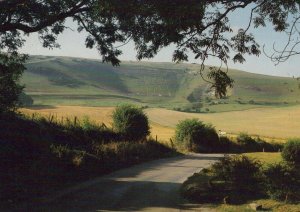 Sussex Postcard - Long Man, Wilmington, Polegate    RR7870