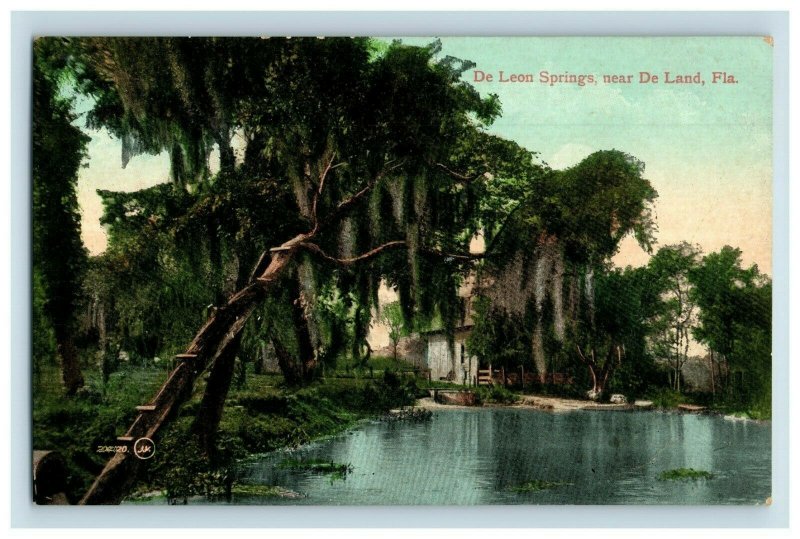 1910 De Leon Springs. Near De Land, Fla Postcard F80 