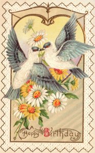 Vintage Postcard A Happy Birthday Natal Day Greetings Special Celebration Birds